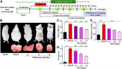 The ameliorating effect of withaferin A on high-fat diet-induced non-alcoholic fatty liver disease by acting as an LXR/FXR dual receptor activator
